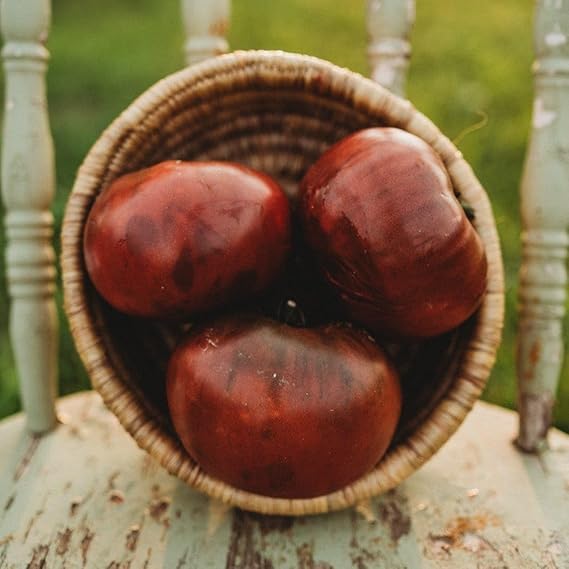 Tomato Solanum Lycopersicum Black Vegetable Seeds for Planting – Unique Heirloom Variety for Backyard and Patio Gardens