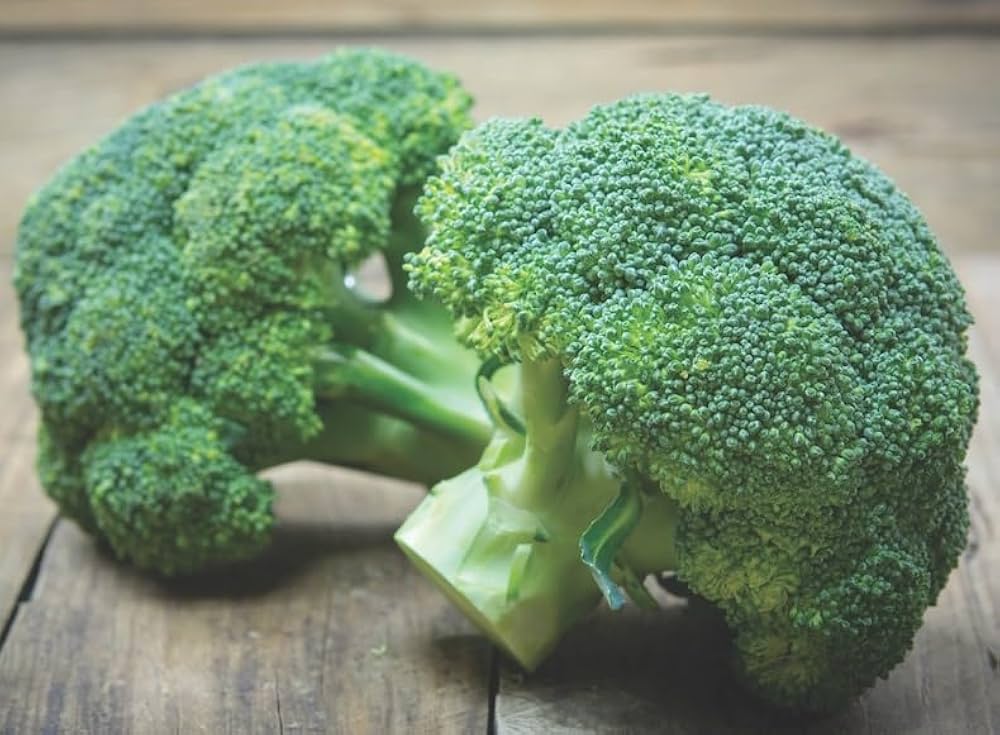 Certified Organic Calabrese Broccoli Seeds – Seeds