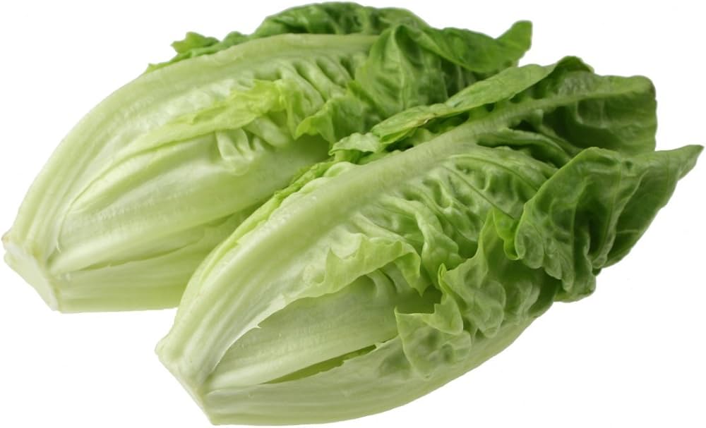 Little Gem Lettuce Seeds Heirloom Non-GMO High Germination Organic Garden Seeds