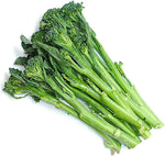 Broccoli Brassica Rapa Broccoli Raab Rapini Vegetable Seeds for ...