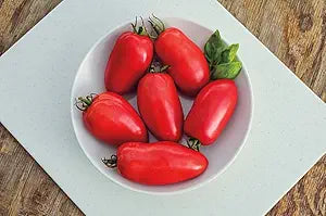 Tomato Domashniy Raznosol Solanum lycopersicum vegetable seeds for planting in kitchen garden