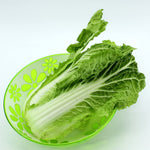 Chinese Cabbage Brassica Rapa Seeds