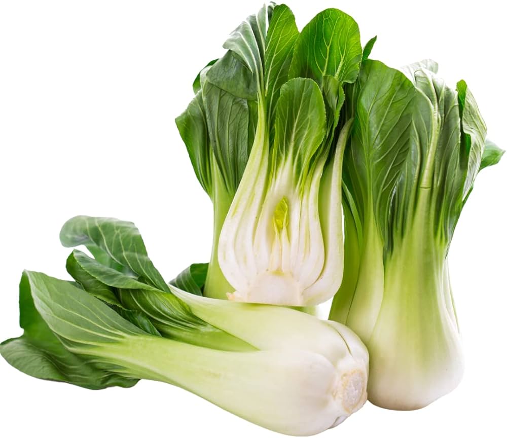 Vegetable Various Species Health Mix Seeds for Planting – Nutritious Vegetable Seeds for Kitchen Garden and Fresh Harvest