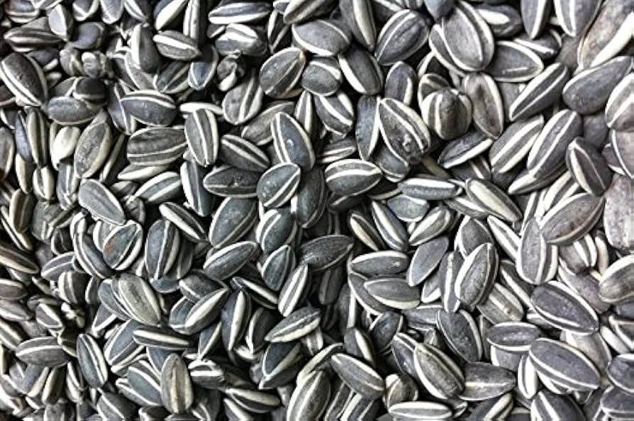 Sunflower Seeds for Planting
