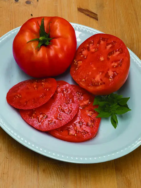 Tomato Seeds (Organic) - Beefsteak