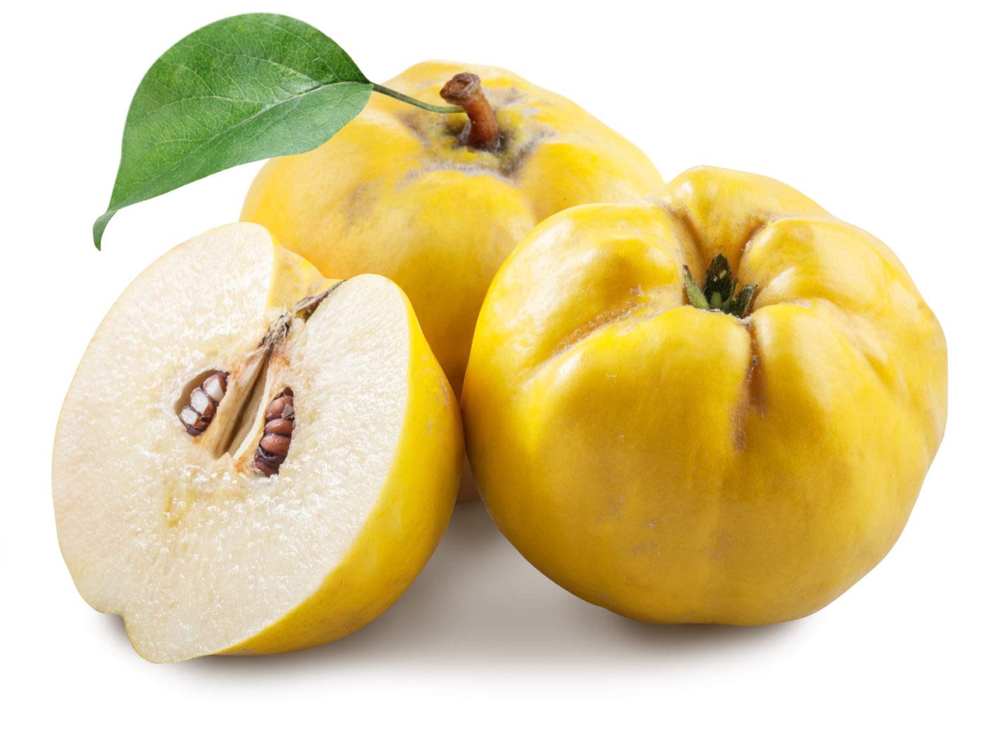 Quince – A Fragrant, Golden Delight