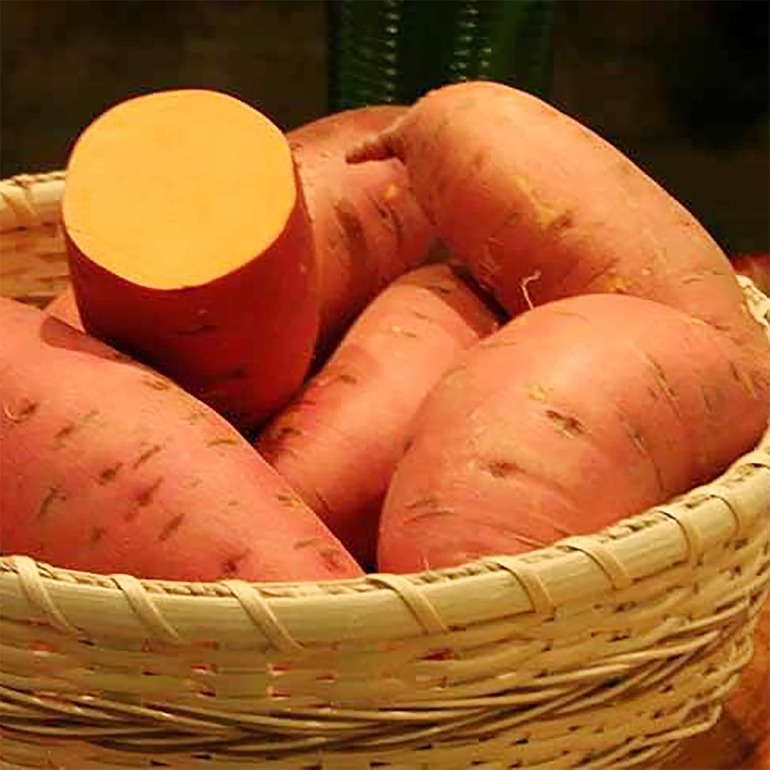 Sweet Potato Seeds for Planting - Healthy Vegetable - heirloom & Non GMO Seeds