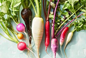 plants supported with stakes in a vegetable garden

