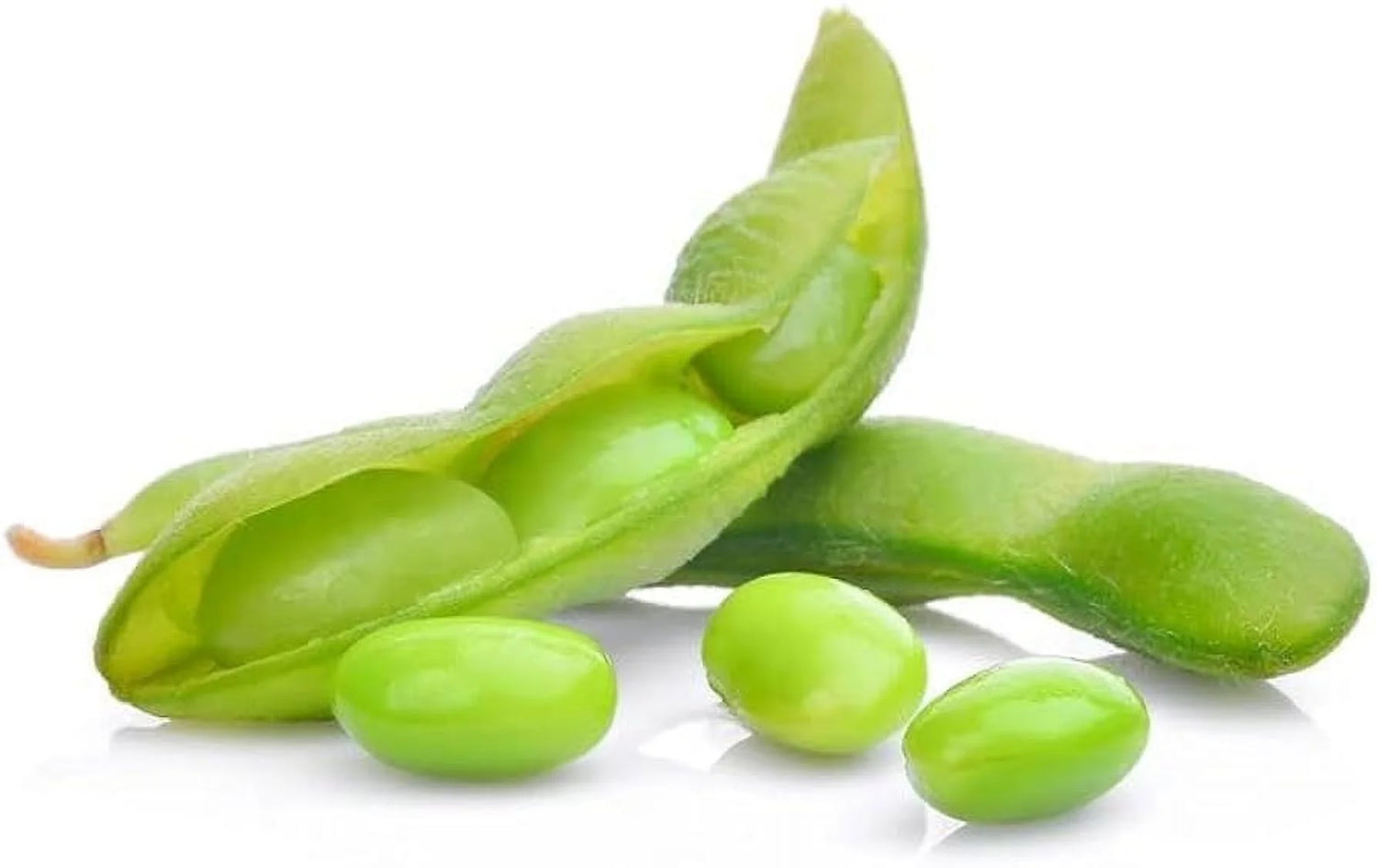 Midori Star Edamame Soybean Seeds | High-Protein Tender Green Edamame – Heirloom, Non-GMO, High Germination Organic Garden Seeds