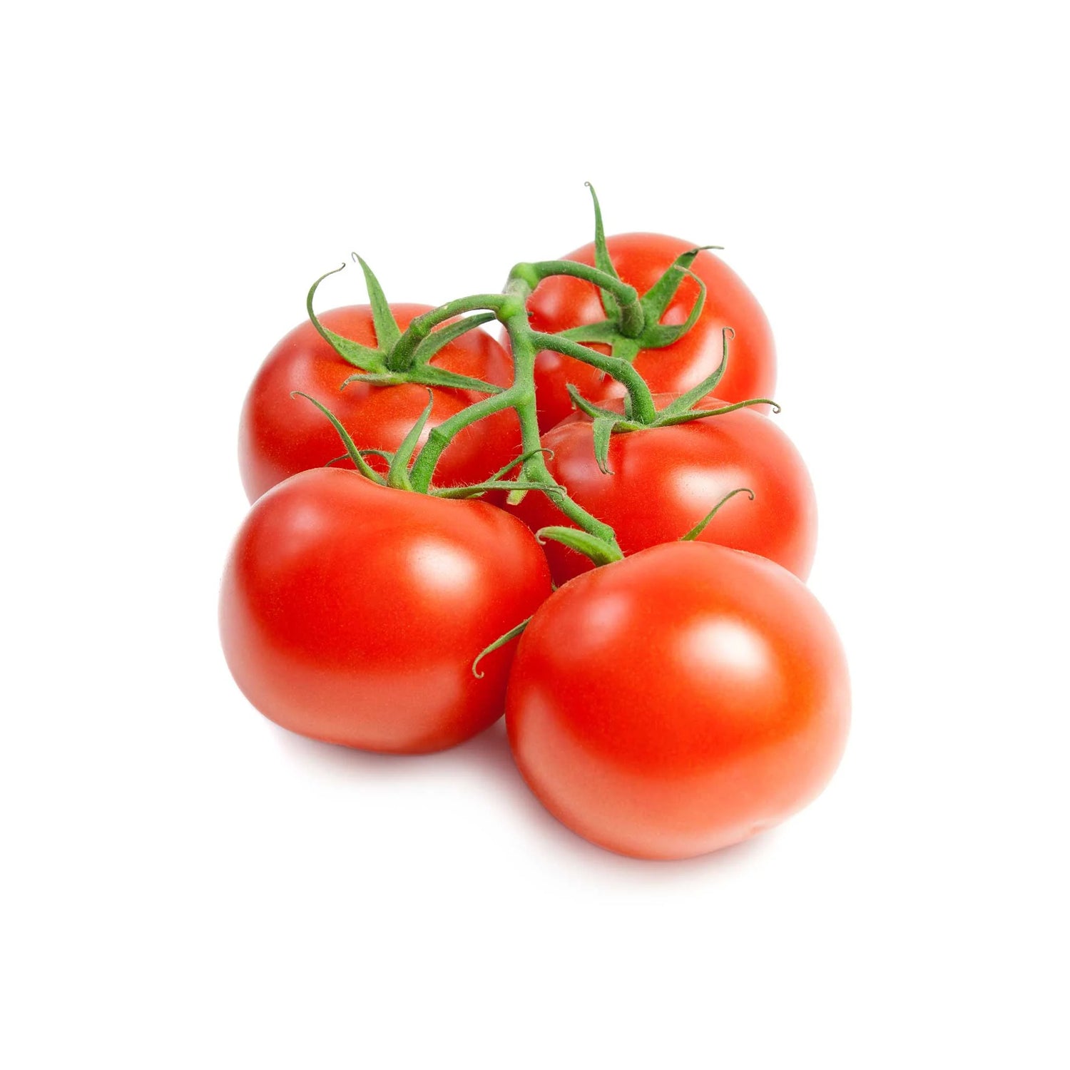 MoneyMaker Organic Tomato Seeds | Classic Reliable Red Heirloom Tomatoes – Heirloom, Non-GMO, High Germination Organic Garden Seeds