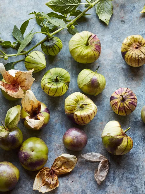 Tomatillo Seeds - Purple