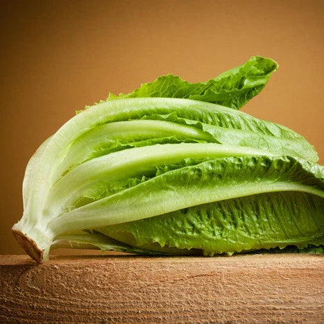 Lettuce Romaine – Heirloom, Non-GMO, High Germination Organic Garden Seeds