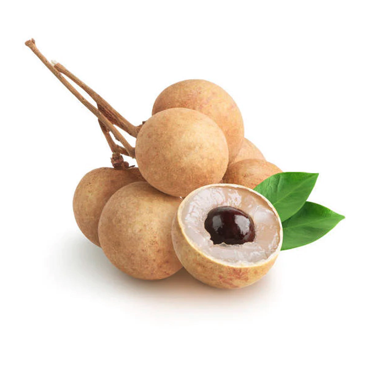 Dwarf Longan Seed