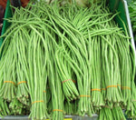Snake Bean for planting