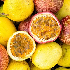 Passiflora Ligularis for planting