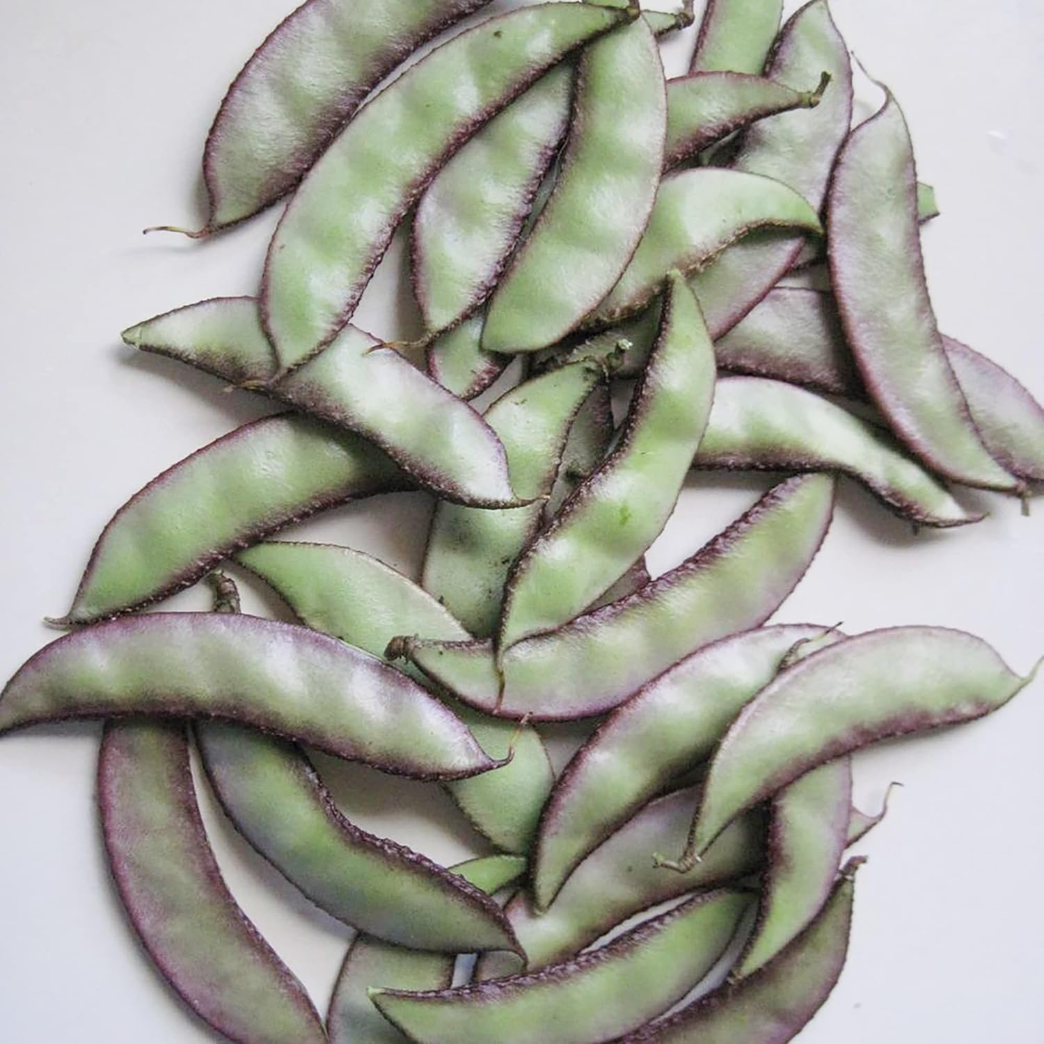 Hyacinth Bean Seeds