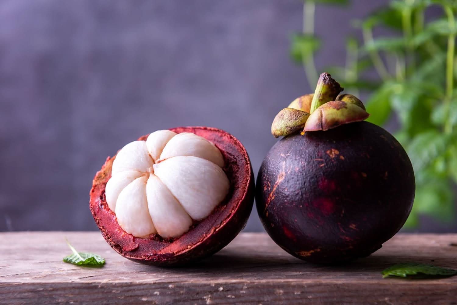 Mangosteen Fruit Seed Set for Sweet, Tropical Delights