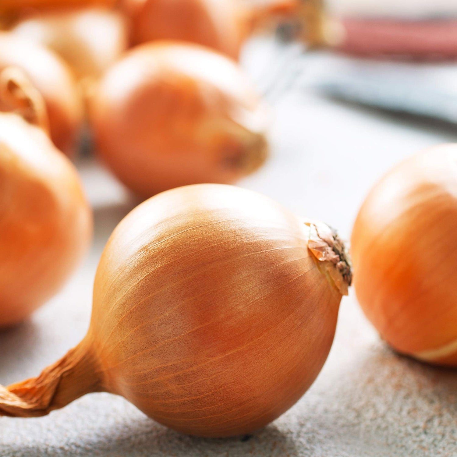 Yellow Granex 33 Onion Seeds Heirloom Non-GMO High Germination Organic Garden Seeds