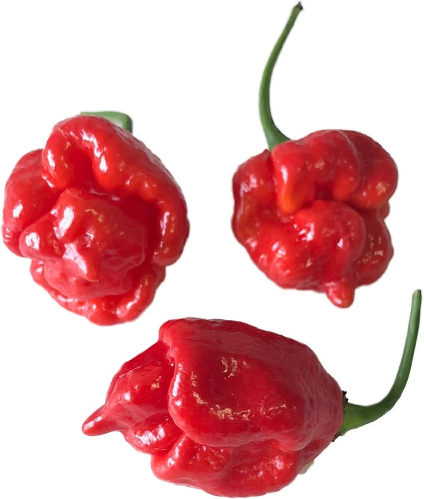 Trinidad Scorpion Butch T Pepper Seeds, World's Hottest