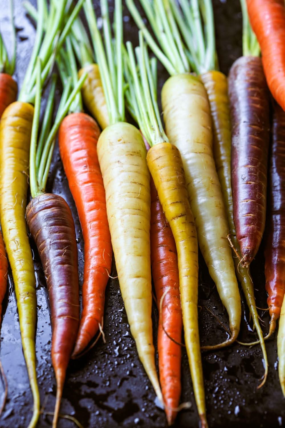 Rainbow Carrot Daucus Carota Vegetable Seeds for Planting in Kitchen Garden and Backyard Beds