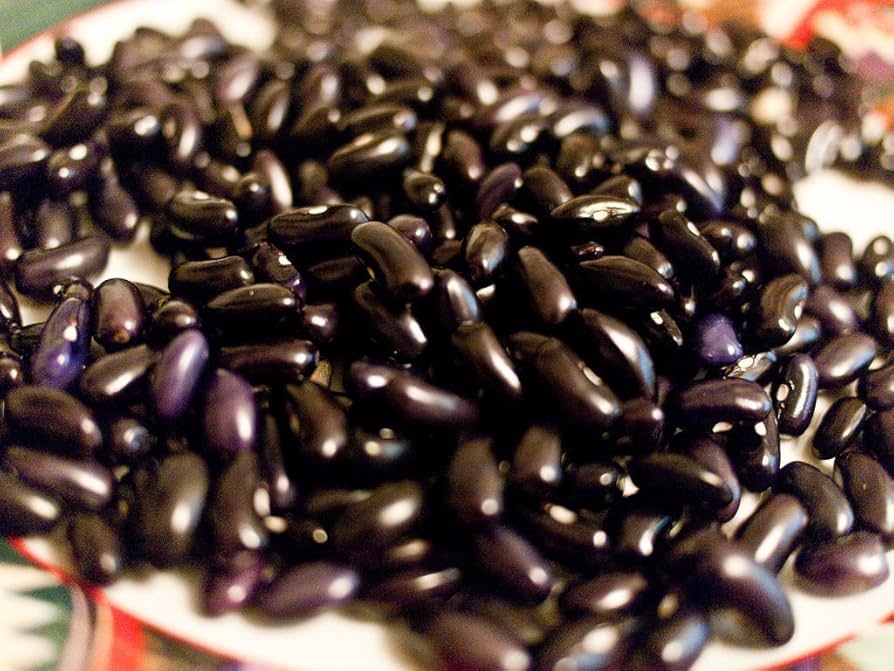 Bean Phaseolus Vulgaris Cherokee Black Vegetable Seeds for Planting – Heirloom Variety for Kitchen Garden and Traditional Dishes