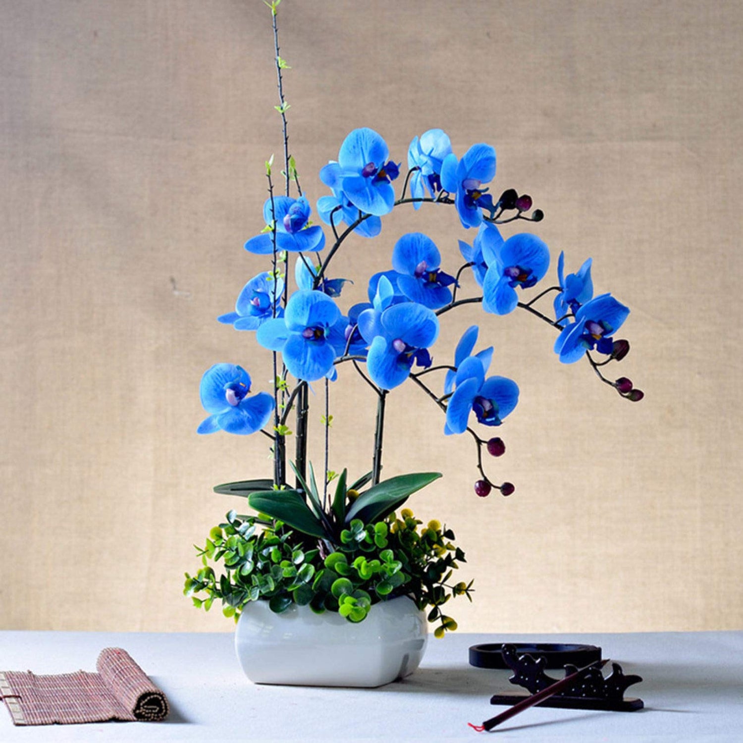 Blue Orchid Seeds (Phalaenopsis) – Exotic Indoor Orchid with Stunning Blooms