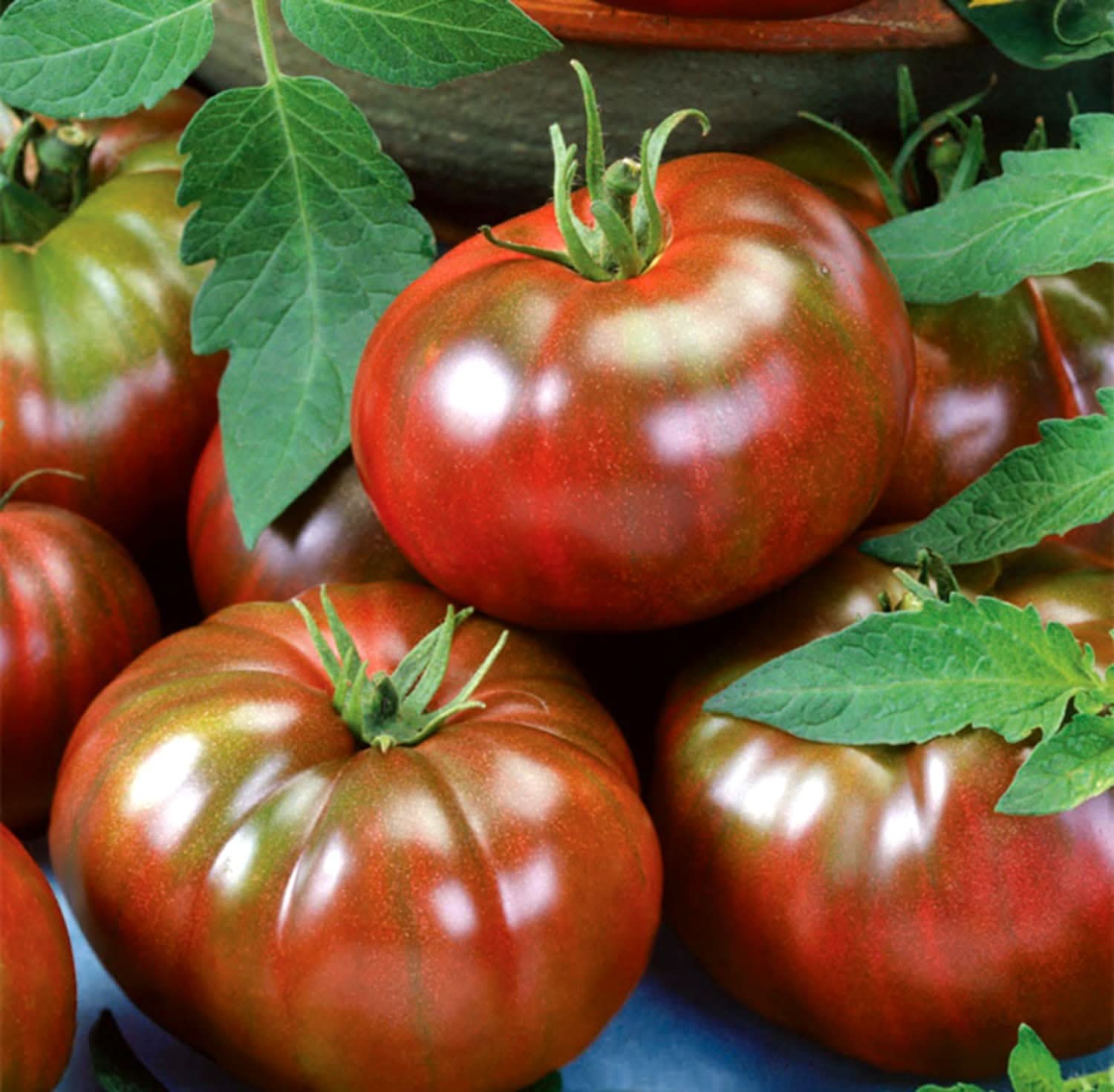 Organic Heirloom Prudens Purple Tomato Plant Seeds