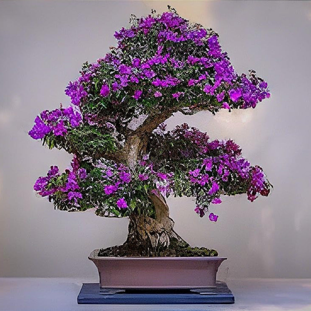 Tarassaco Seeds, Bonsai Flowers, 100 Pcs% Genuine Biological Flower for Domestic Gardens