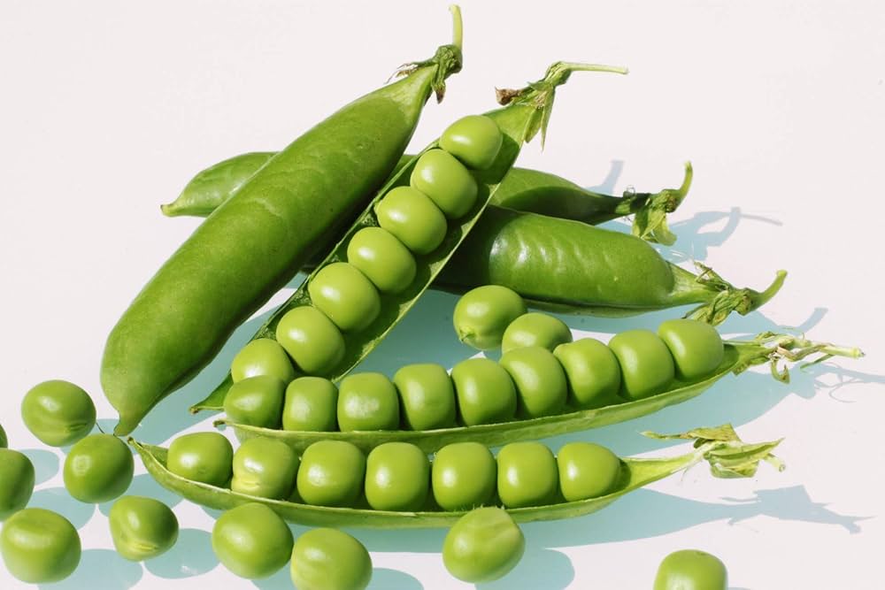 Organic Vegetable Seed Collection for Planting for Home Garden