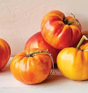 Tomato Solanum lycopersicum Big Rainbow beefsteak vegetable seeds for planting in kitchen garden plots