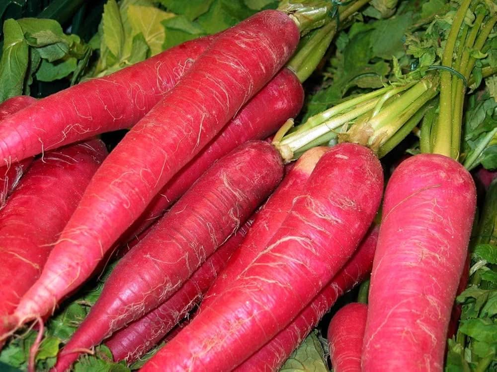 Carrot Pink Vegetable Plant Seeds