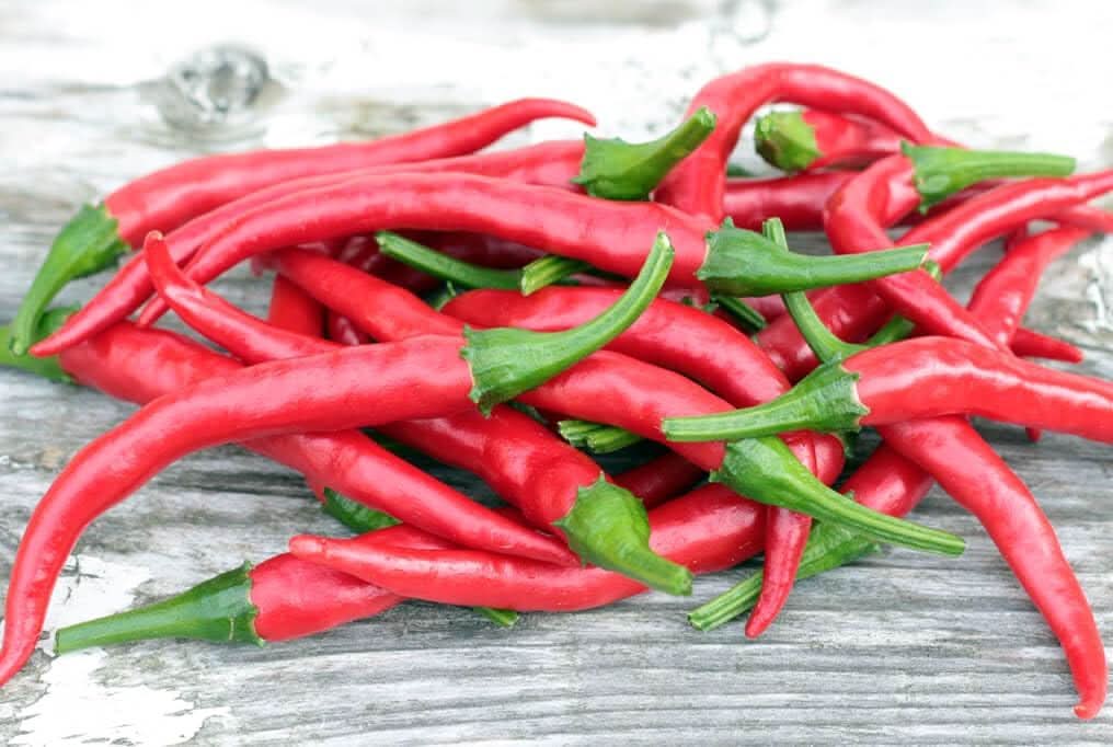 Ree Chilies and Peppers Vegetable Seeds for Planting