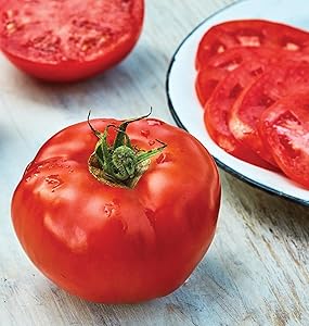 Tomato Solanum lycopersicum heirloom vegetable seeds for planting in home garden or raised beds