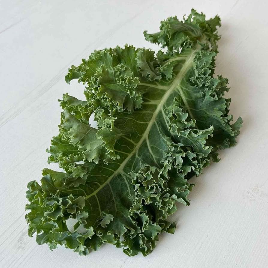 Dwarf Siberian Kale Brassica napus vegetable seeds for kitchen garden and containers