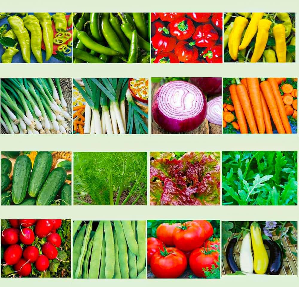 Ultimate Garden Vegetable Seed Collection – Heirloom, Non-GMO, High Germination Organic Garden Seeds