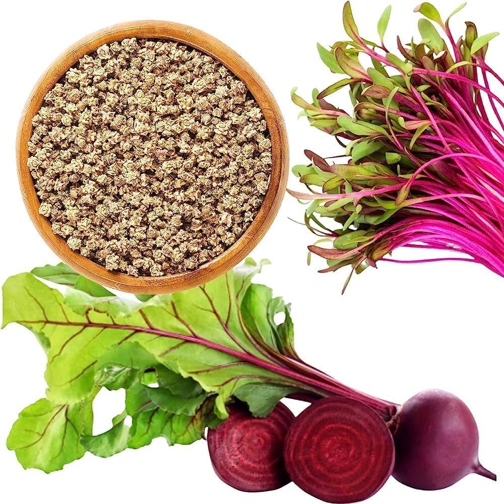 Sugar Beet Beta vulgaris plant seeds for planting