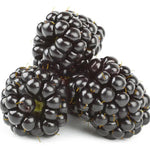 Dewberry/Blackberry Planting Seeds - Non-GMO, Heirloom Dhara Seeds