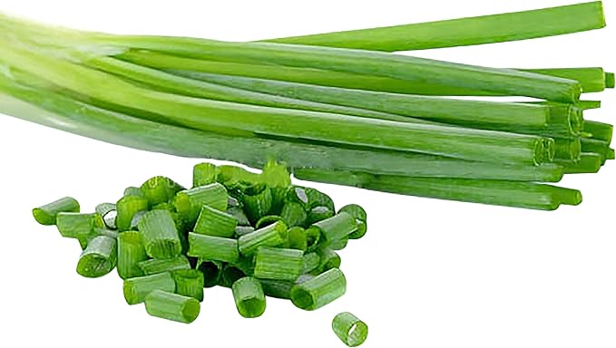 Green Onion Allium fistulosum Scallion vegetable seeds for planting in home garden containers