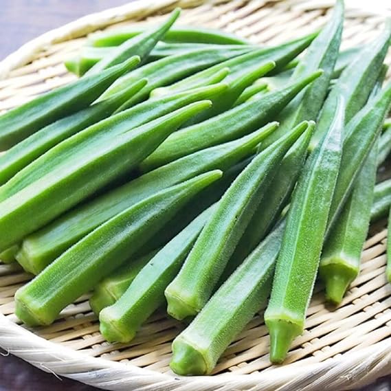 Okra Abelmoschus esculentus Perkins Long Pod vegetable seeds for planting in home garden or raised beds