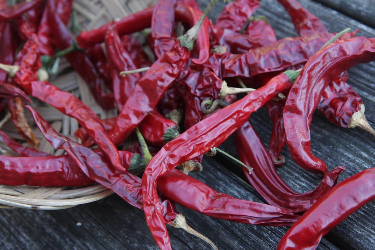 Szechwan Chile Plant