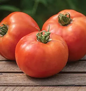 Tomato Solanum Lycopersicum Organic Heirloom Beefsteak Vegetable Seeds for Planting – Large Fruit for Backyard Gardening