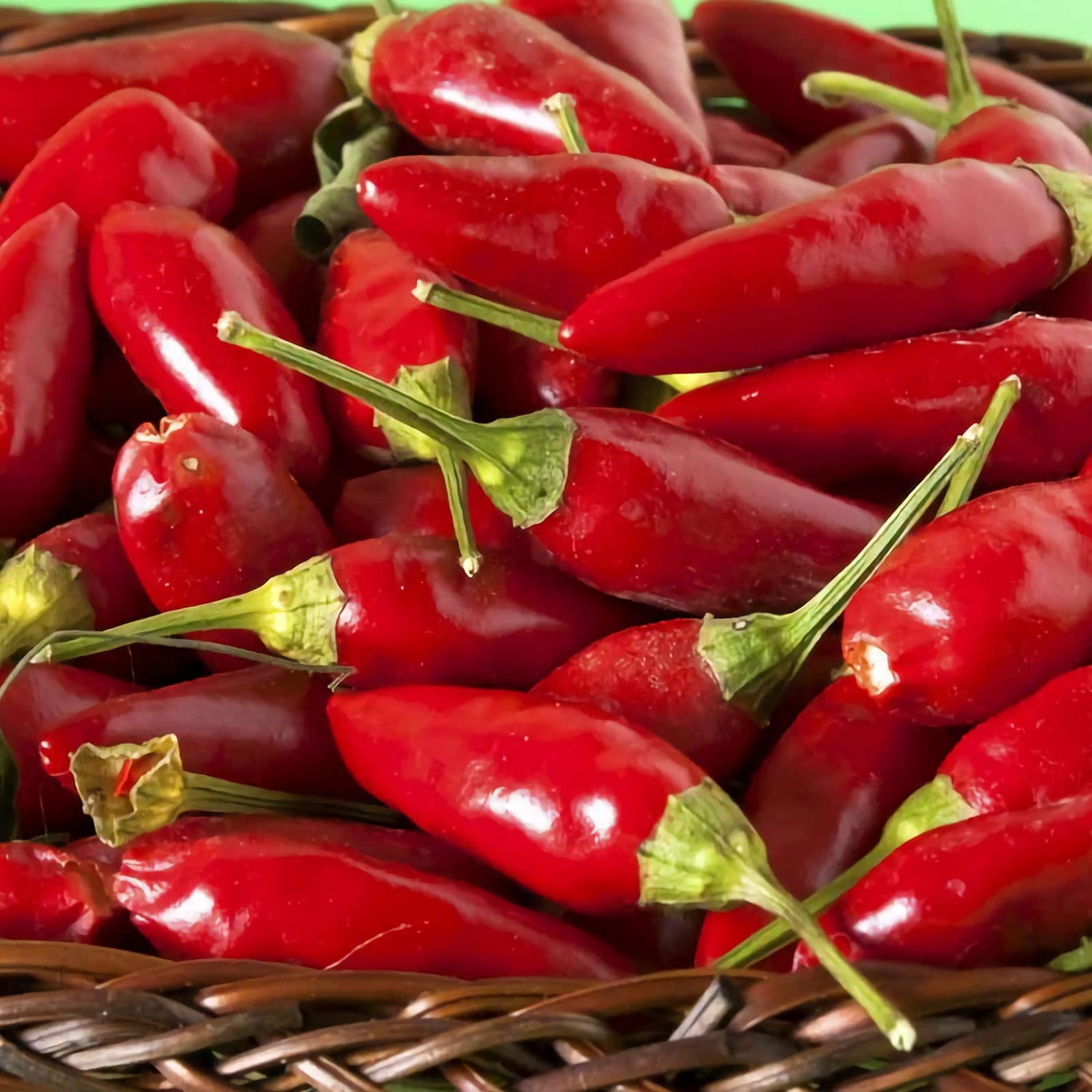 Jalapeno Hot Chili Vegetable Seeds for Planting