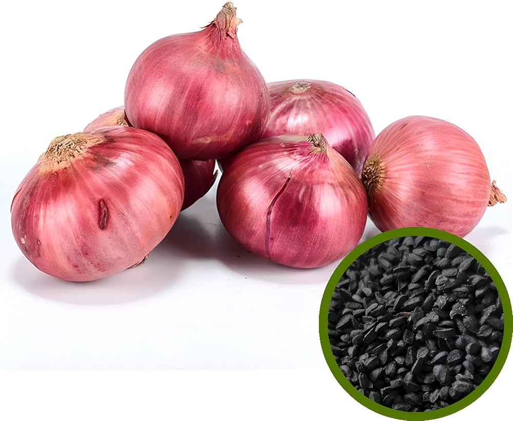 Onion Allium cepa vegetable seeds for planting in kitchen garden and raised beds