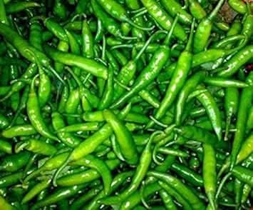 Green Chili Seeds for Planting - heirloom & Non-GMO Seeds
