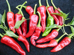 Chimayo heirloom pepper vegetable seeds