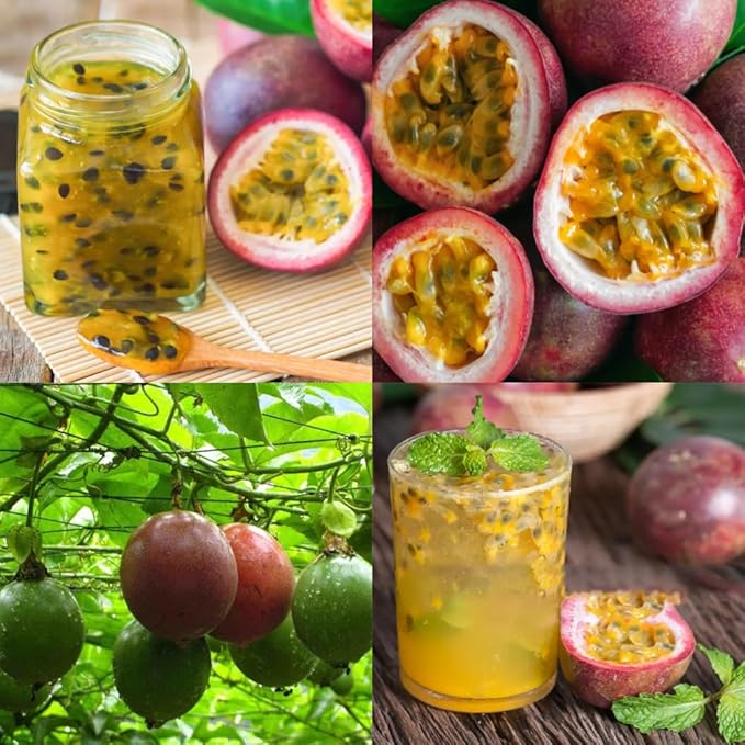 Passion Fruit Passiflora edulis Seeds for Planting in Garden