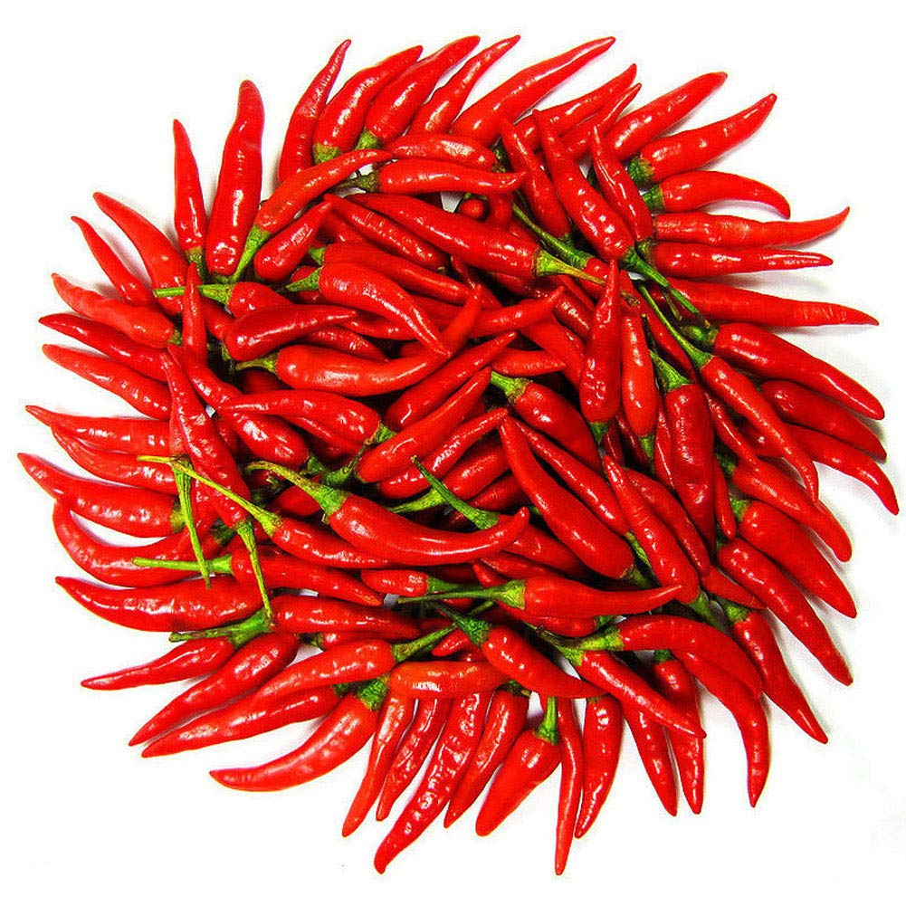 Red Hot Chili Seeds for Planting- heirloom & Non-GMO Seeds