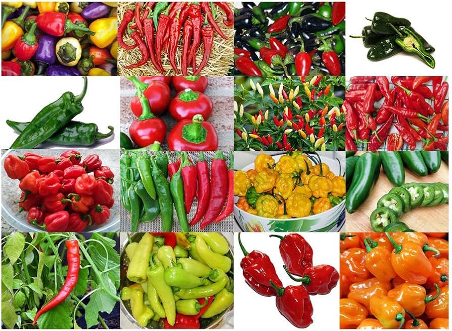Fire Mix Pepper Seeds Heirloom Non-GMO High Germination Organic Garden Seeds