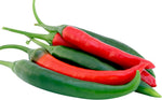 Cayenne Pepper (Capsicum annuum) for planting in vegetable patch