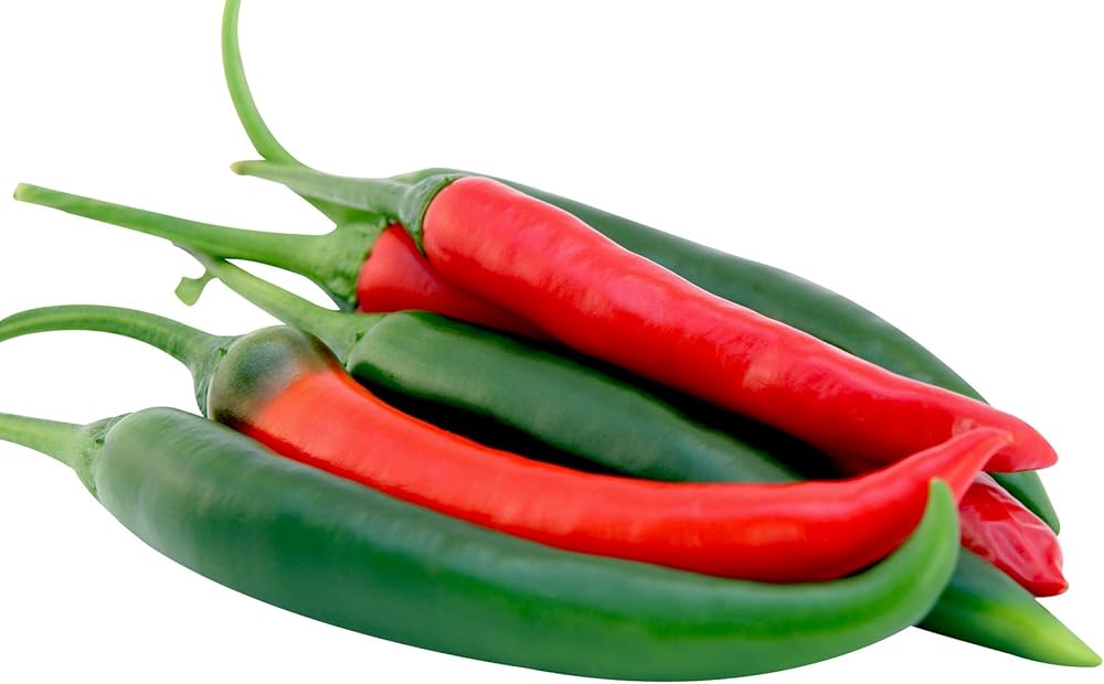 Cayenne Pepper (Capsicum annuum) for planting in vegetable patch